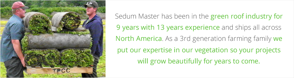 Sedum Master :: In the industry for over 9 years
